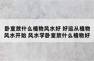 卧室放什么植物风水好 好运从植物风水开始 风水学卧室放什么植物好